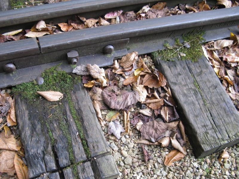 Rail and ties with similar coloring, plus vegetation