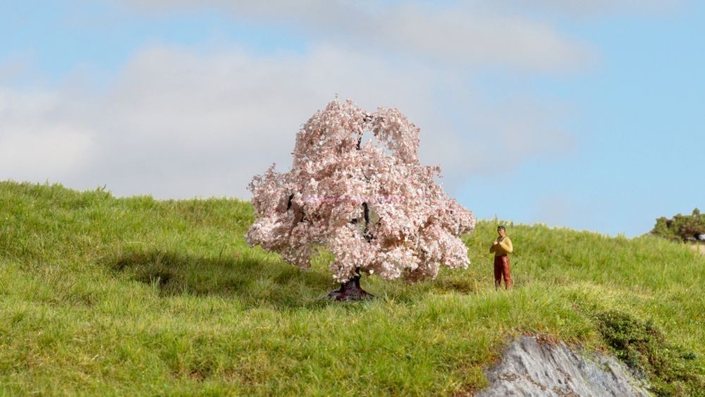 Cherry Blossom Tree