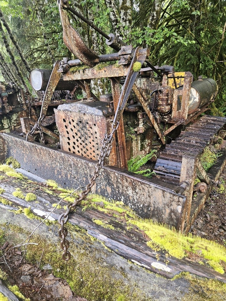 A flash of Cat yellow after lifting logs