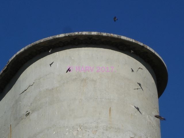 Round-end Concrete Grain Elevator, Layout Scenes 6